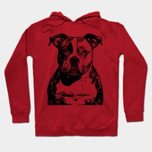 American bully Hoodie